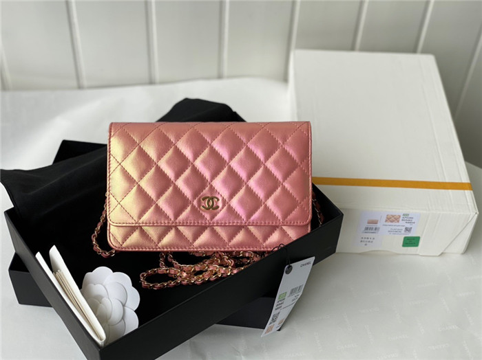 CHANEL 샤넬 WOC 19CM AS33698