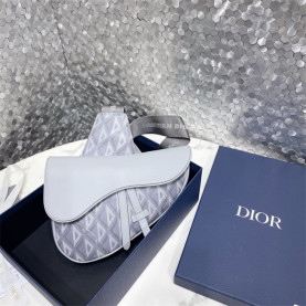 DIOR 디올 오블리크 새들백 M9922 2024/신상